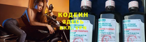 СК Тихвин