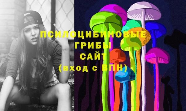 гашик Бородино