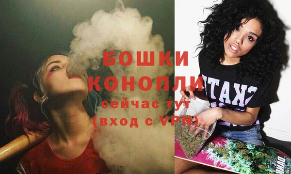 гашик Бородино