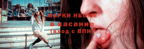 гашик Бородино