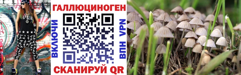 Галлюциногенные грибы мицелий  нарко площадка наркотические препараты  Кирсанов  дарнет шоп 